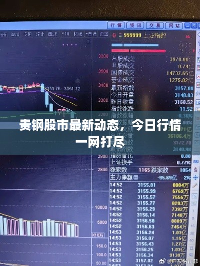 贵钢股市最新动态，今日行情一网打尽