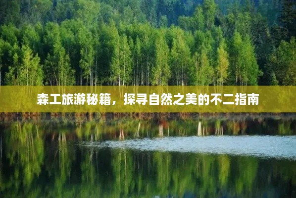森工旅游秘籍，探寻自然之美的不二指南