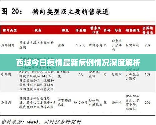 西城今日疫情最新病例情况深度解析