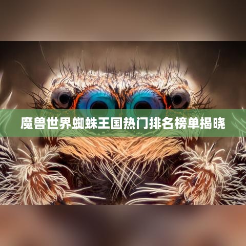 魔兽世界蜘蛛王国热门排名榜单揭晓