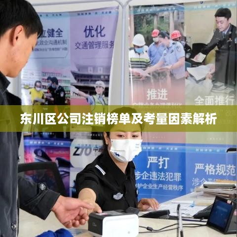 东川区公司注销榜单及考量因素解析