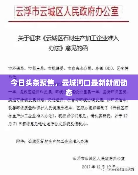 今日头条聚焦，云城河口最新新闻动态