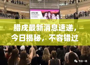 腊戌最新消息速递，今日揭秘，不容错过！