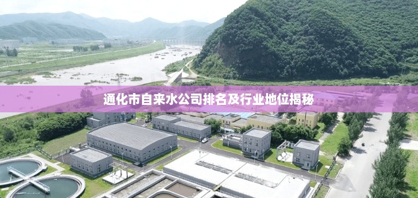 通化市自来水公司排名及行业地位揭秘