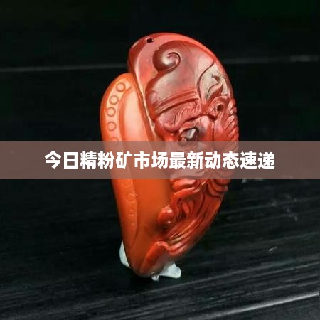 今日精粉矿市场最新动态速递