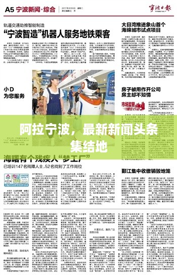 阿拉宁波，最新新闻头条集结地