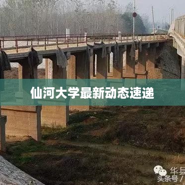 仙河大学最新动态速递