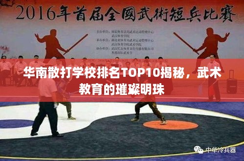 华南散打学校排名TOP10揭秘，武术教育的璀璨明珠