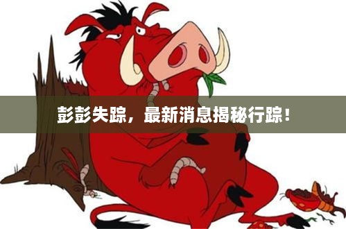 彭彭失踪，最新消息揭秘行踪！