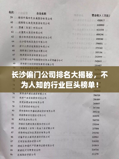 长沙偏门公司排名大揭秘，不为人知的行业巨头榜单！