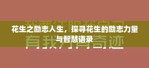 花生之励志人生，探寻花生的励志力量与智慧语录