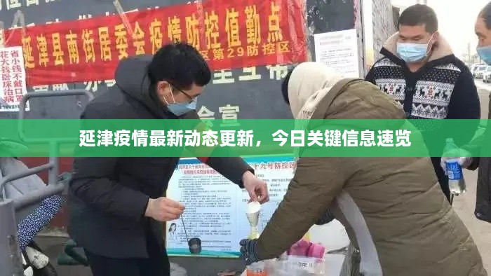延津疫情最新动态更新，今日关键信息速览