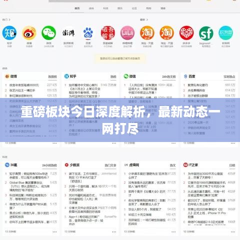 重磅板块今日深度解析，最新动态一网打尽