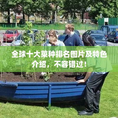 全球十大菜种排名图片及特色介绍，不容错过！