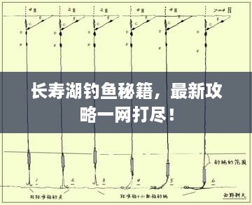 长寿湖钓鱼秘籍，最新攻略一网打尽！