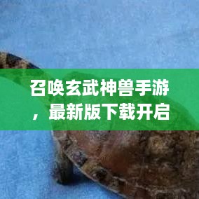 召唤玄武神兽手游，最新版下载开启，神秘世界探险之旅启程