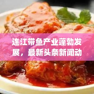 连江带鱼产业蓬勃发展，最新头条新闻动态