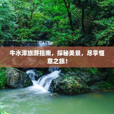 mupingzigui 第2页