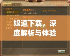 娘道下载，深度解析与体验分享心得
