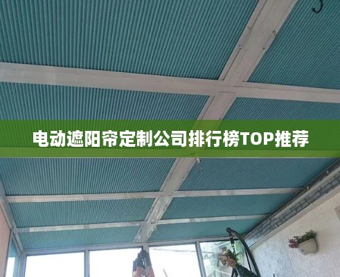 电动遮阳帘定制公司排行榜TOP推荐