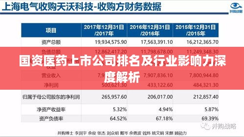 国资医药上市公司排名及行业影响力深度解析