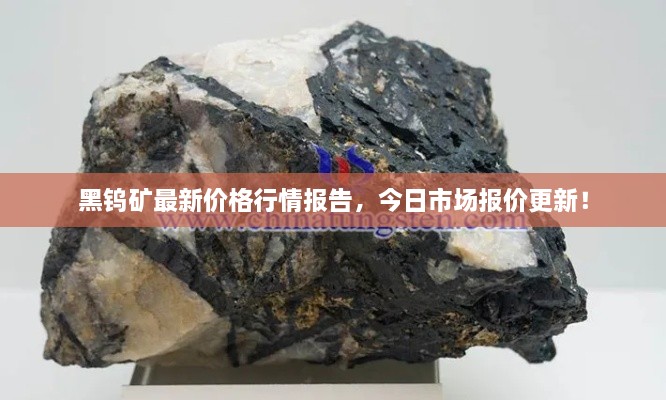 悬驼就石 第2页