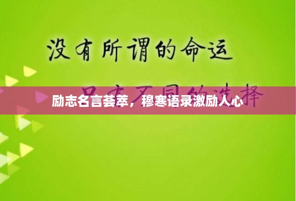 关于我们 第49页