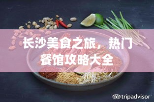 长沙美食之旅，热门餐馆攻略大全