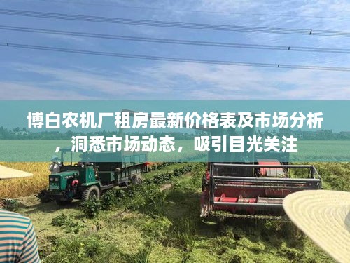 博白农机厂租房最新价格表及市场分析，洞悉市场动态，吸引目光关注