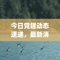 新闻资讯 第42页