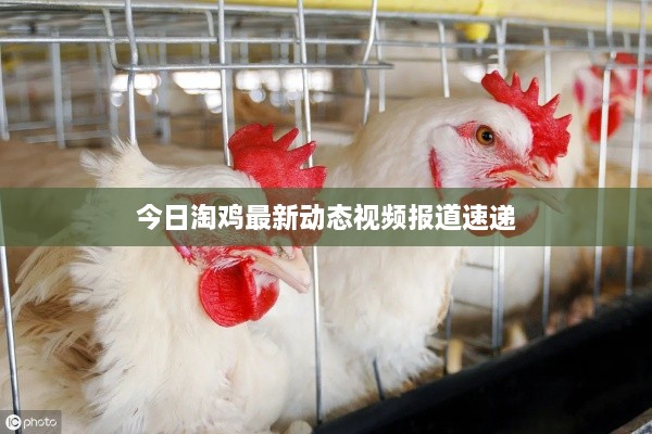 新闻资讯 第40页