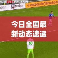 今日全国最新动态速递，新增消息综述