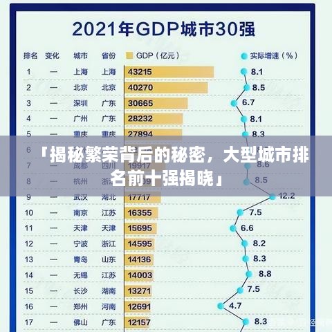 「揭秘繁荣背后的秘密，大型城市排名前十强揭晓」