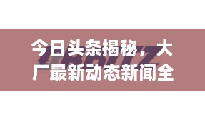 今日头条揭秘，大厂最新动态新闻全解析