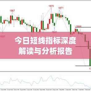 今日短线指标深度解读与分析报告