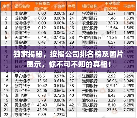 独家揭秘，按揭公司排名榜及图片展示，你不可不知的真相！