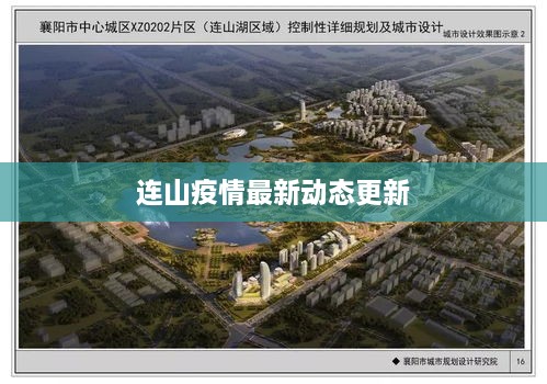 连山疫情最新动态更新