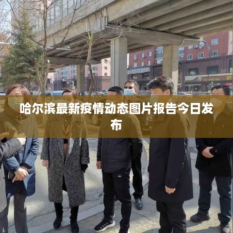 哈尔滨最新疫情动态图片报告今日发布