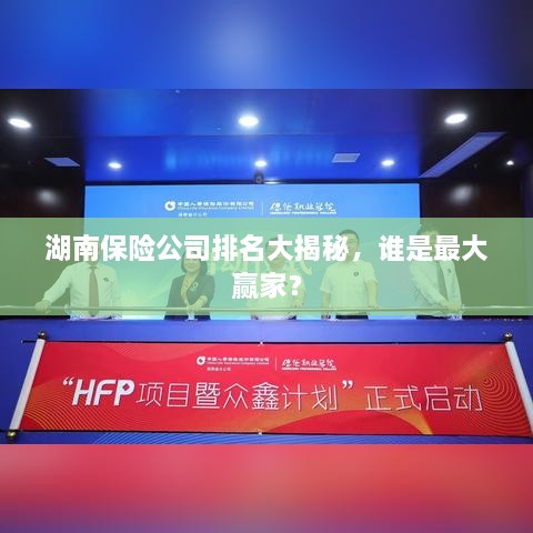 湖南保险公司排名大揭秘，谁是最大赢家？