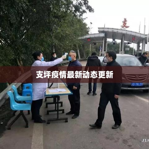 支坪疫情最新动态更新