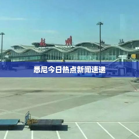 悉尼今日热点新闻速递
