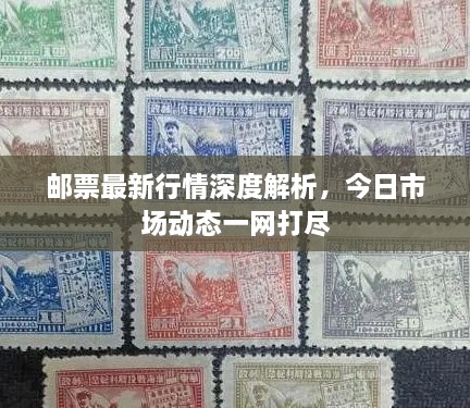 邮票最新行情深度解析，今日市场动态一网打尽