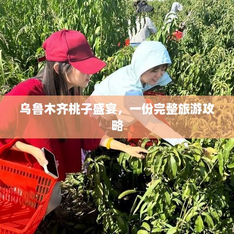 乌鲁木齐桃子盛宴，一份完整旅游攻略