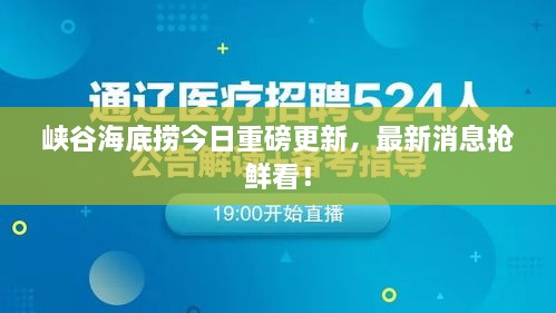 峡谷海底捞今日重磅更新，最新消息抢鲜看！
