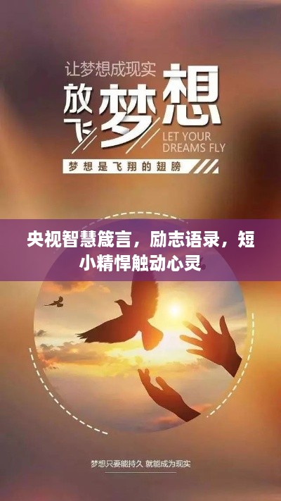 央视智慧箴言，励志语录，短小精悍触动心灵