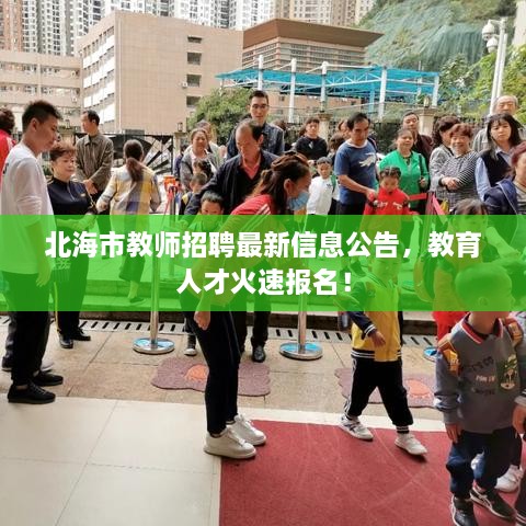 北海市教师招聘最新信息公告，教育人才火速报名！