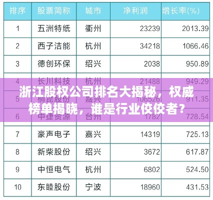 浙江股权公司排名大揭秘，权威榜单揭晓，谁是行业佼佼者？