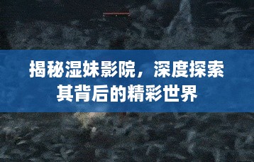 揭秘湿妹影院，深度探索其背后的精彩世界