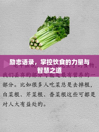 励志语录，掌控饮食的力量与智慧之道