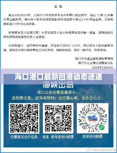 海口港口最新回港动态速递